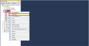How to Assign System Administrator Role to User through SQL - Saina ...